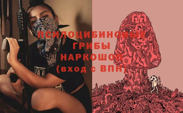 скорость Абаза