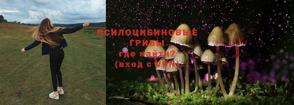 2c-b Абдулино
