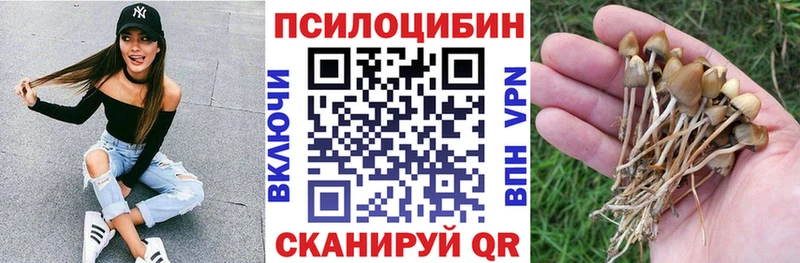 Псилоцибиновые грибы Magic Shrooms  Тбилисская 